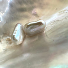 Carica l'immagine nel visualizzatore di Gallery, White Rectangle Baroque Pearl Stud Earrings, Silver