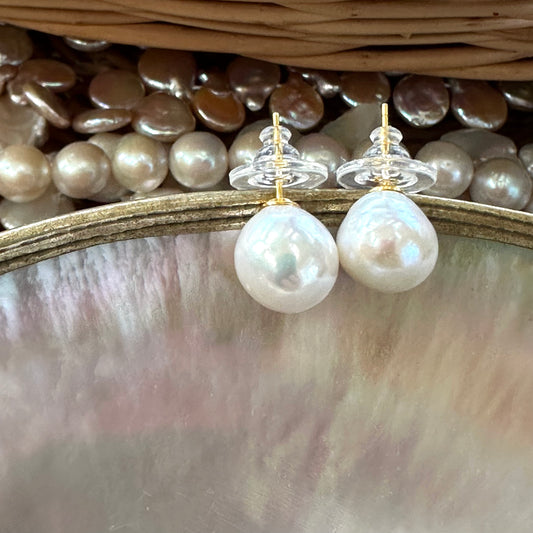 White edison pearl stud earrings hanging from shell with assorted pearls in background, highlighting size contrast and natural luster.