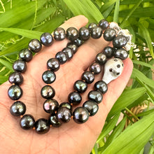 Lade das Bild in den Galerie-Viewer, Black Pearl Necklace – held by hand against green foliage background