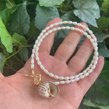 Cargar imagen en el visor de la galería, Real Seashell Pendant and Pearl Necklace