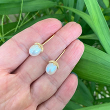 Cargar imagen en el visor de la galería, Rice Pearl Earrings – gold earrings held by hand against green leaf background