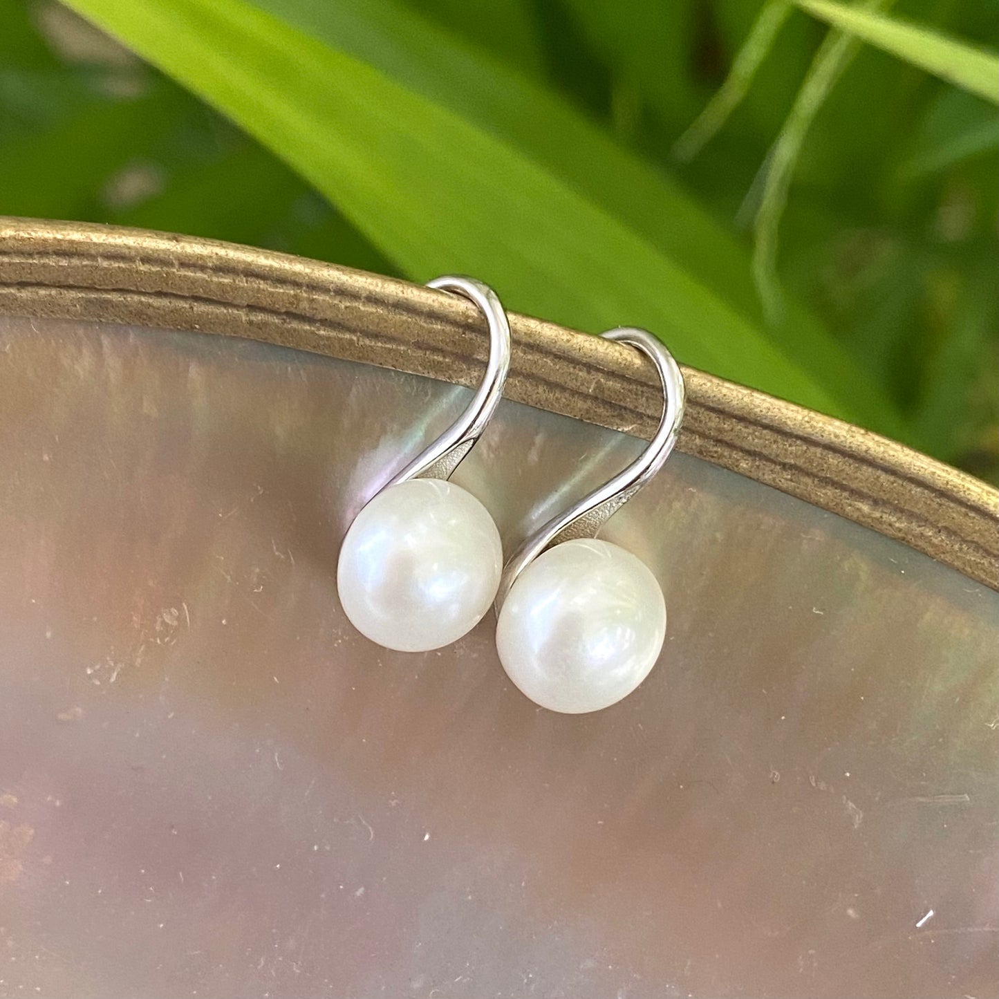 Button Pearl Earrings – silver pair displayed on pearl shell with green foliage