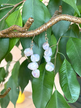 Carica l'immagine nel visualizzatore di Gallery, Keshi Pearls & 14k GF Drop Earrings