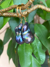 Carica l'immagine nel visualizzatore di Gallery, Baroque pearl hoop earrings in black peacock hues with gold vermeil hoops against green leaf background