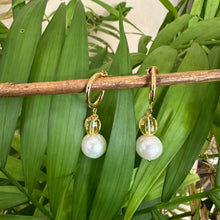 Carica l&#39;immagine nel visualizzatore di Gallery, Edison White Pearls and Citrine Hoop Earrings
