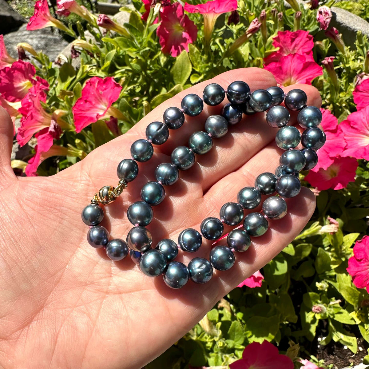 Close up of peacock pearl necklace outdoors with greenery