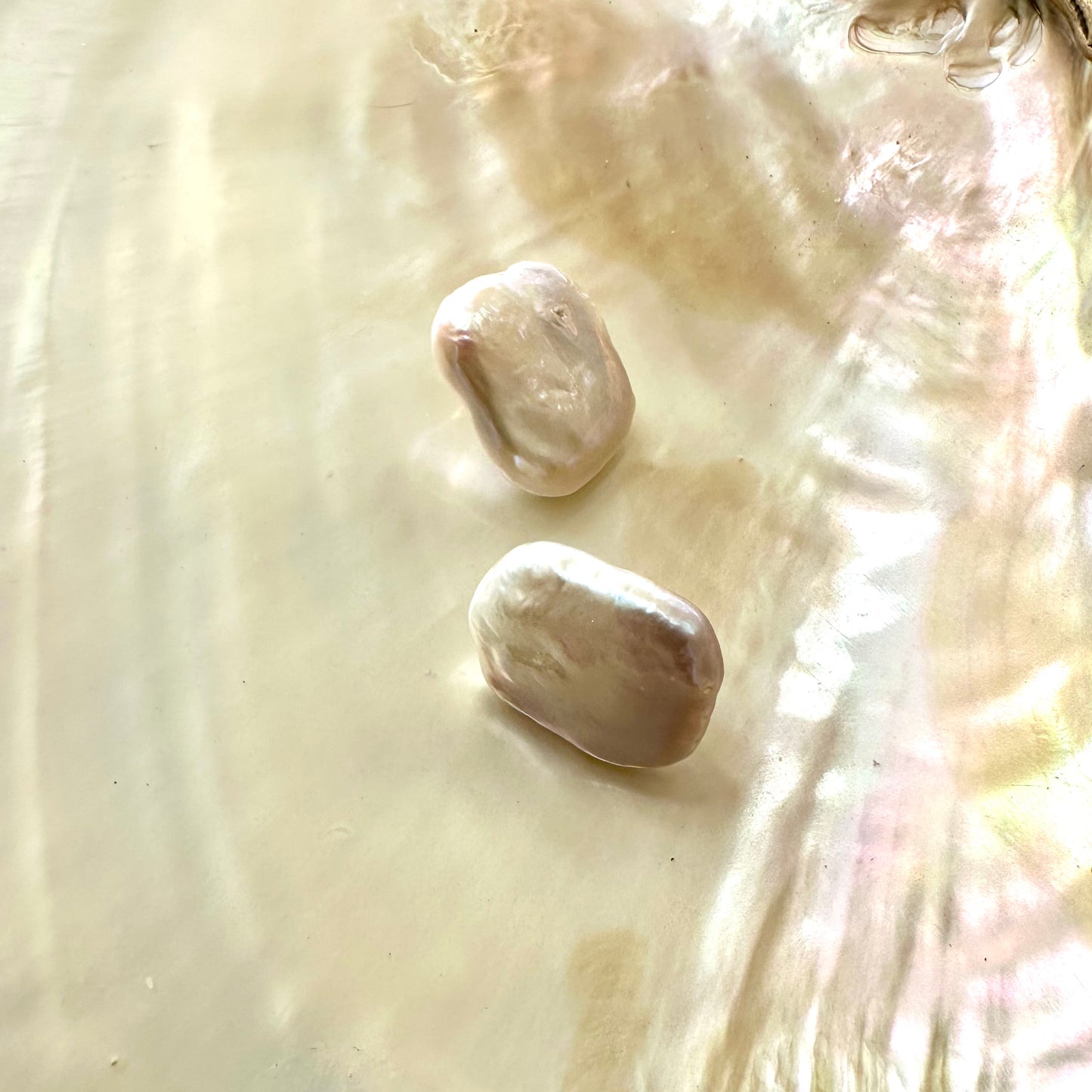 Baroque pearl stud earrings featuring white rectangular-shaped freshwater pearls on a reflective surface.