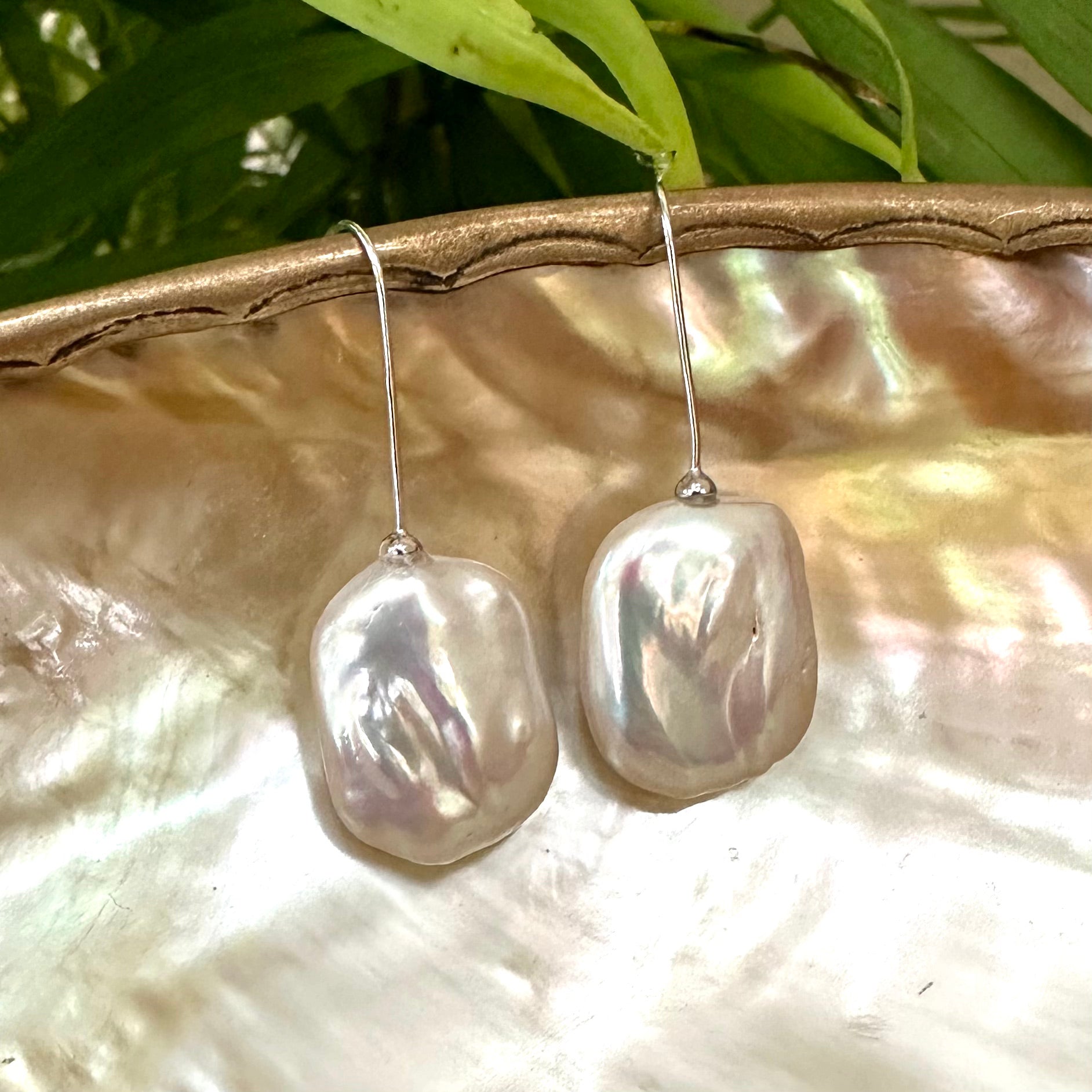 White freshwater pearl drop earrings rhodium-plated silver displayed on pearl shell with green leaf background, designed and handmade in Canada.