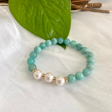 Cargar imagen en el visor de la galería, Amazonite &amp; Freshwater Pearl Stretchy Bracelet, 14K GF, 7&quot;
