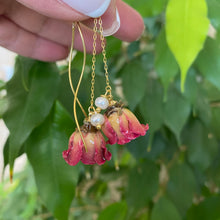 Lade das Bild in den Galerie-Viewer, Real Red Roses and Freshwater Pearl Threader Earrings, 4.5&quot;in Gold Vermeil Plated Silver
