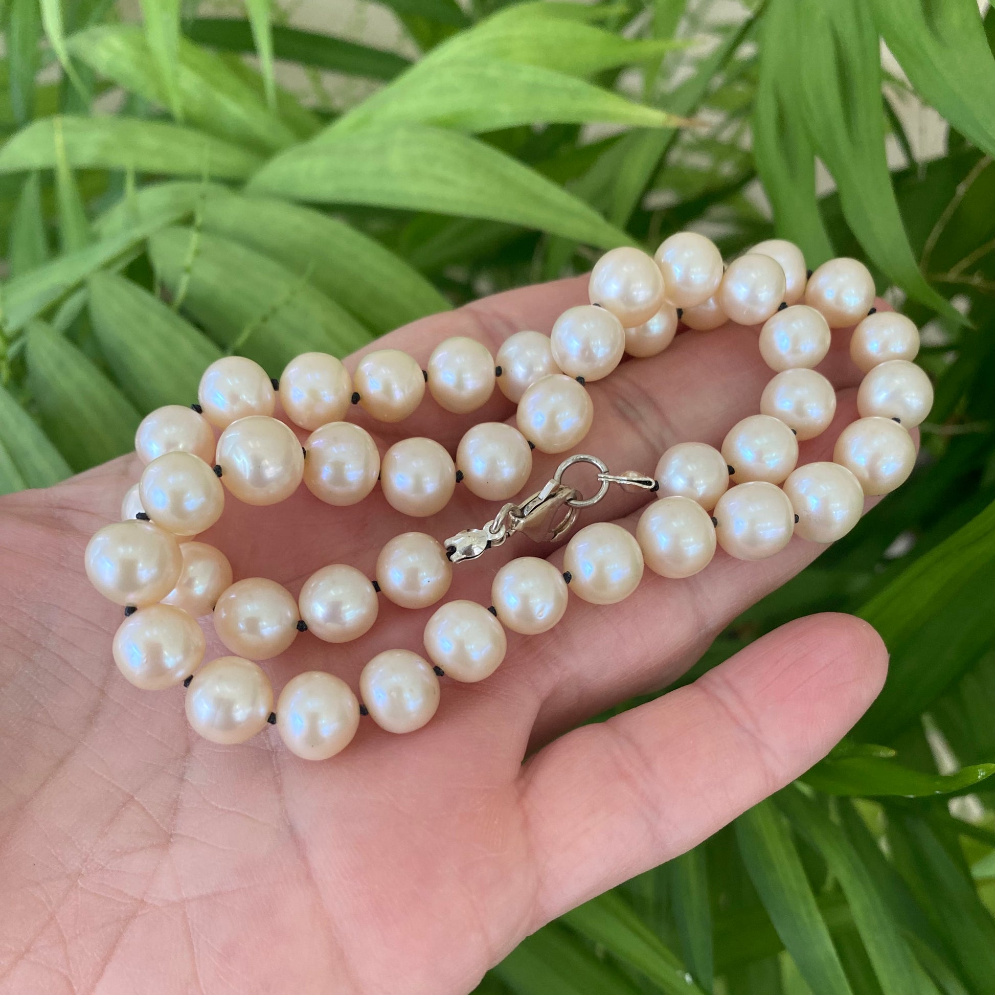 Off white pearl choker necklace held in hand against green leaves