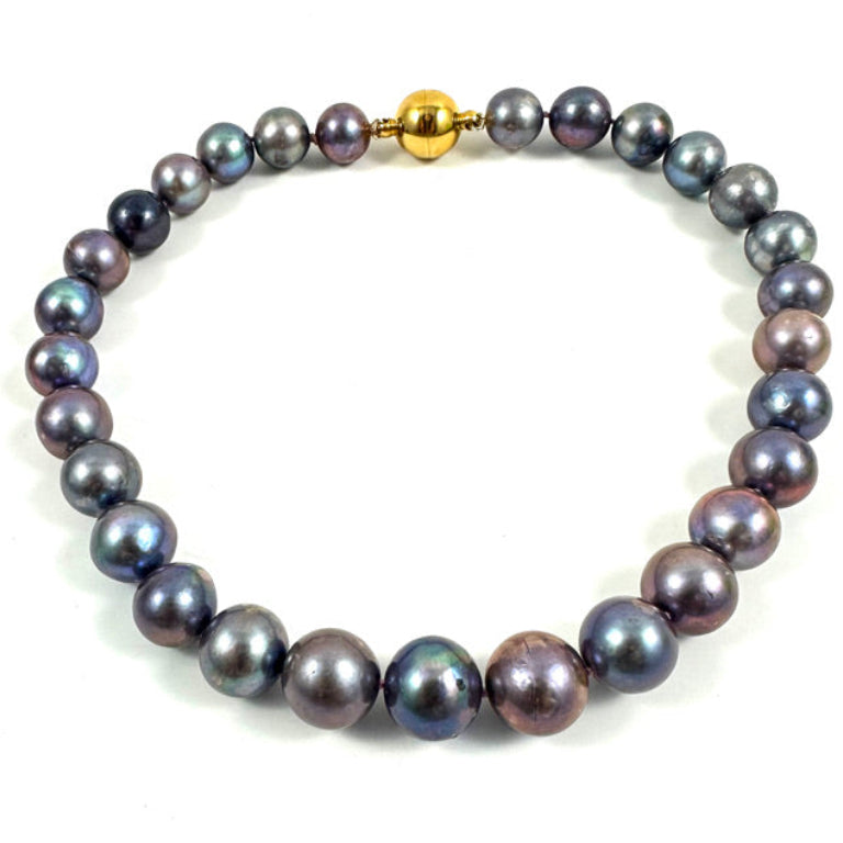 A strand of dark, iridescent freshwater pearls with a polished gold clasp, arranged in a circle on a plain white background.