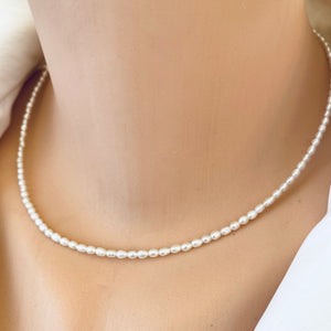 White Mini Rice pearl Necklace with Sea Shell Charm, Gold Filled, 16"inches Dainty Pearl Necklace