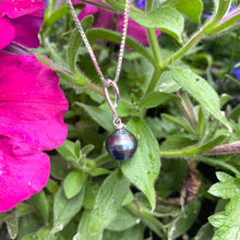 Charger l&#39;image dans la galerie, Tahitian Teardrop Pearl Pendant on Sterling Silver Box Chain, 18&quot;in, June Birthstone
